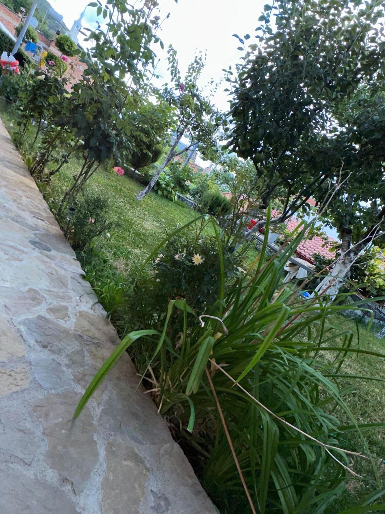 Gardenhouse Villa Memlishte ภายนอก รูปภาพ