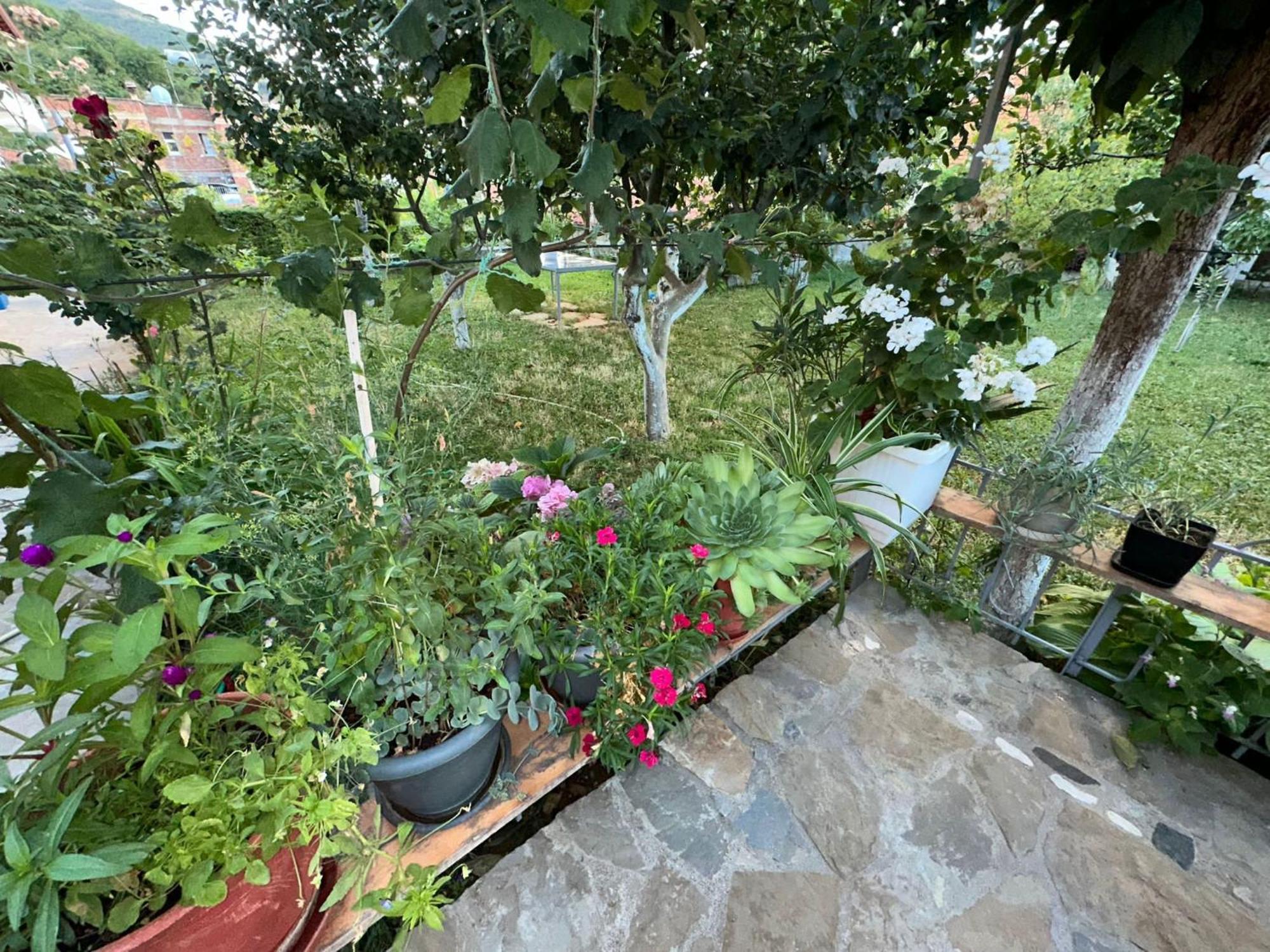 Gardenhouse Villa Memlishte ภายนอก รูปภาพ